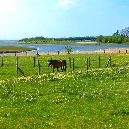 Heimathafen شقة إنسيل بويل